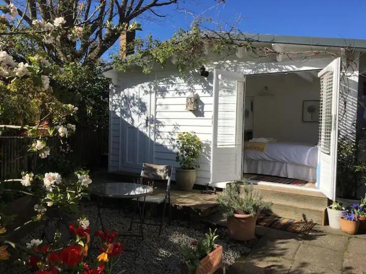 كرانبروك Garden Studio المظهر الخارجي الصورة